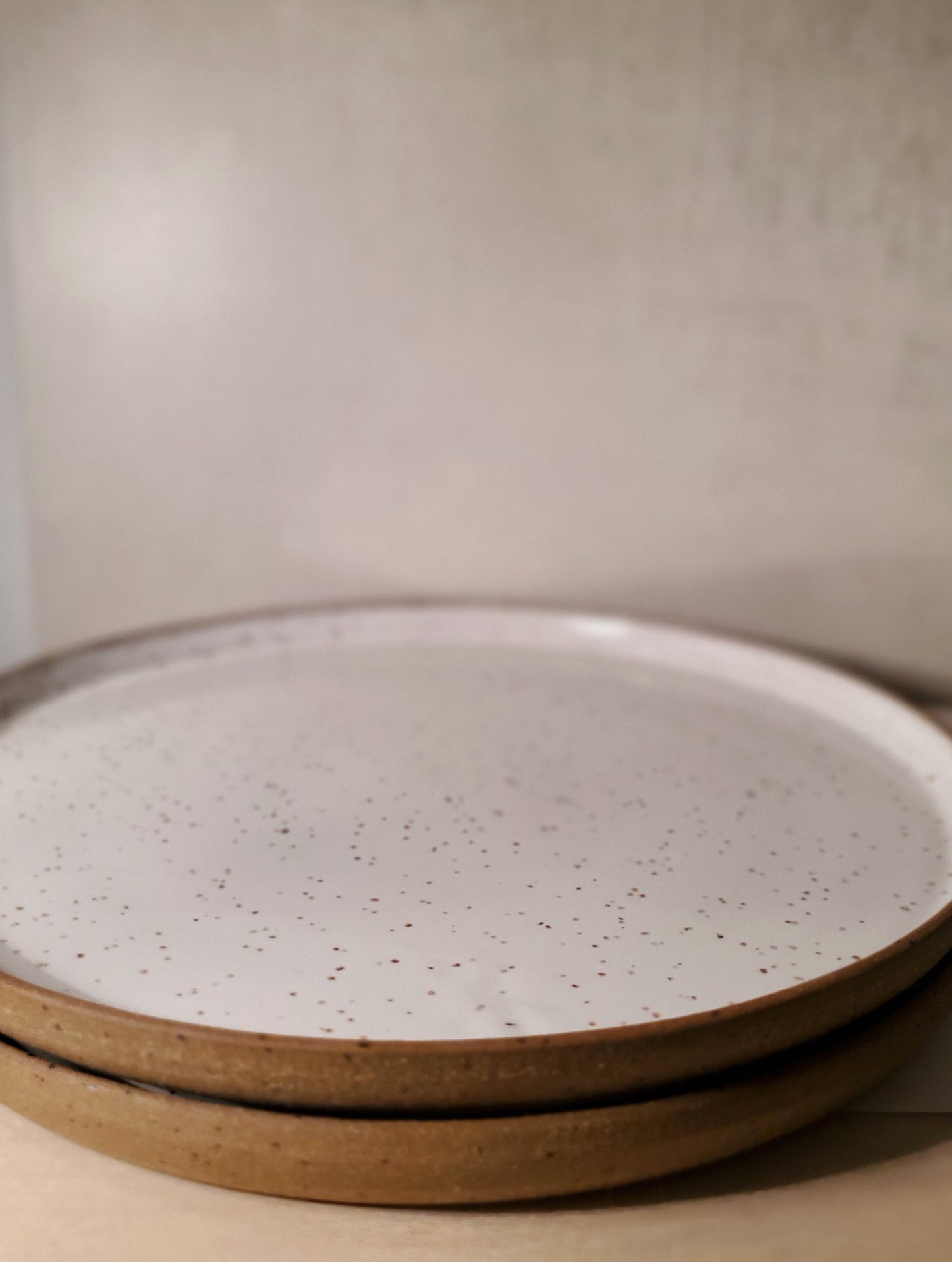 Front Range Modern Speckle Dinner Plate - Ceramic, Wheel Thrown // White