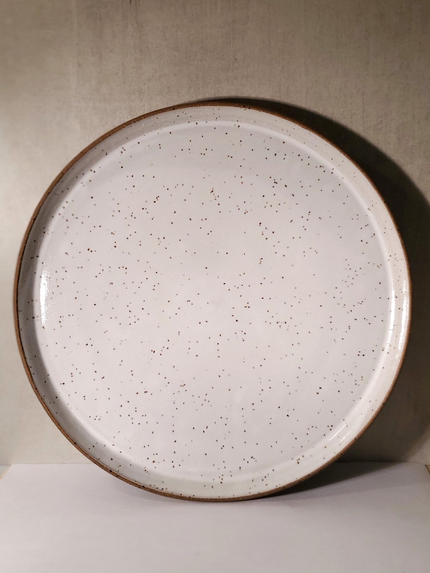 Front Range Modern Speckle Dinner Plate - Ceramic, Wheel Thrown // White