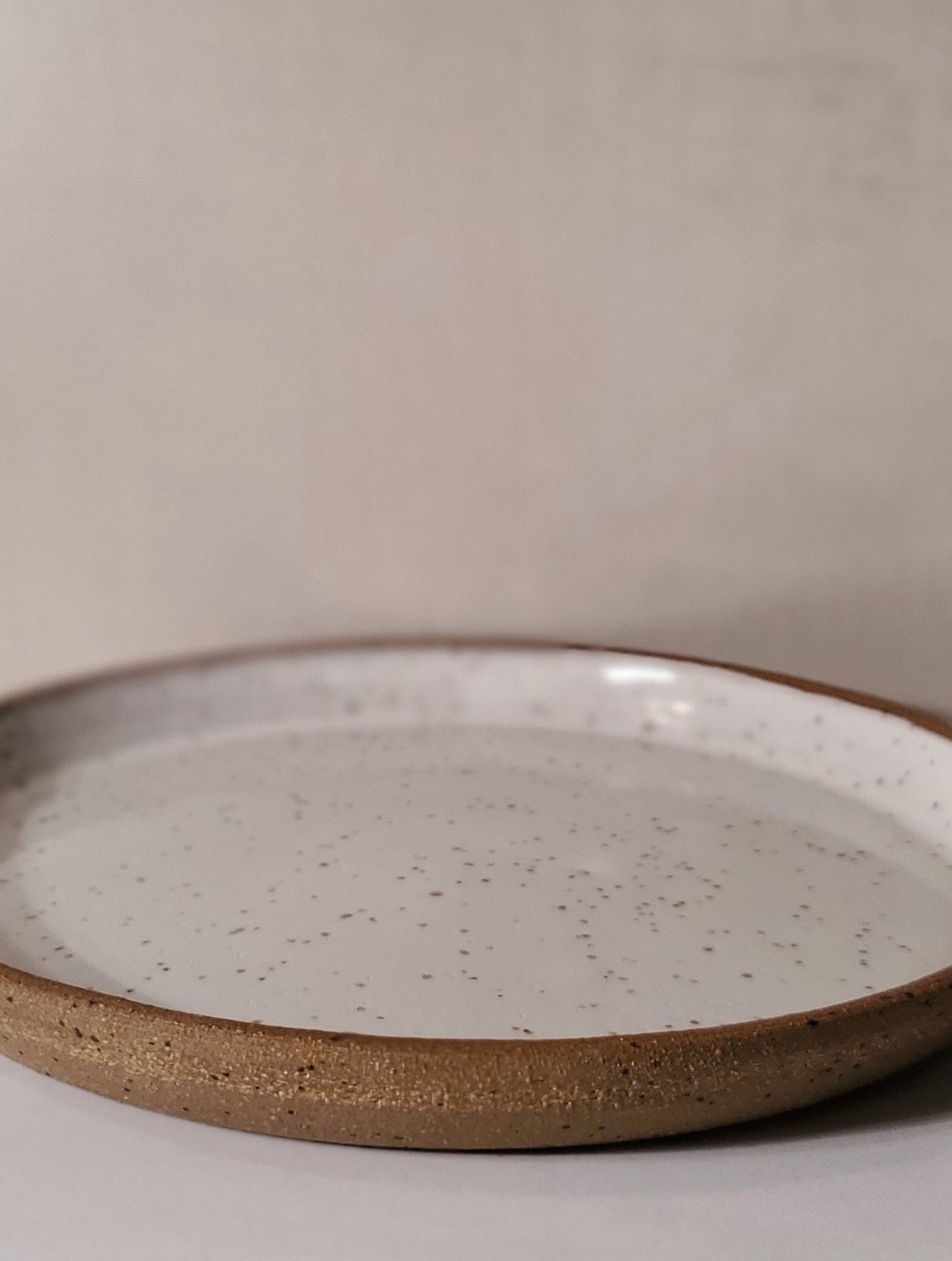 Ceramic Dessert Plate - Front Range Modern Speckle // White